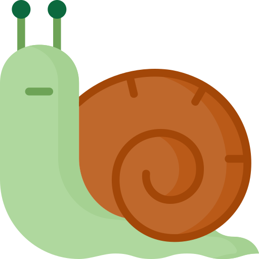 Snail